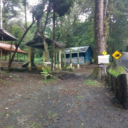 Ijen Mansjestic B&B Tamansuruh المظهر الخارجي الصورة