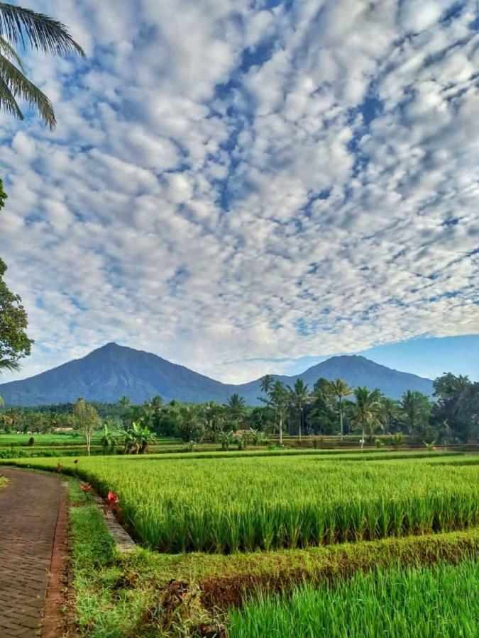 Ijen Mansjestic B&B Tamansuruh المظهر الخارجي الصورة